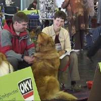 Salzburg Clubschau Mai 06 078